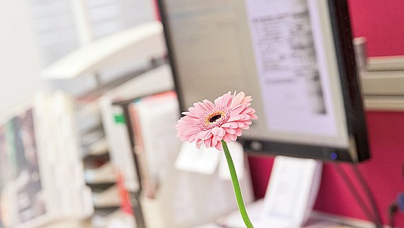 Beställningsblanketter medi SE - Beställningsblanketter medi SE